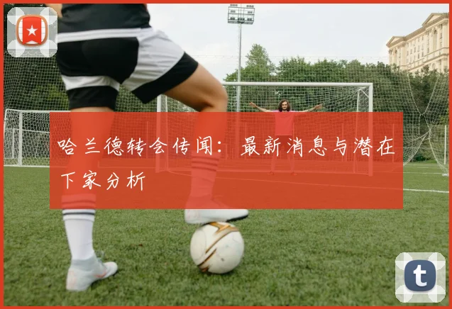 哈兰德转会传闻：最新消息与潜在下家分析